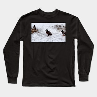 Winter Duck With a Brown Chest Long Sleeve T-Shirt